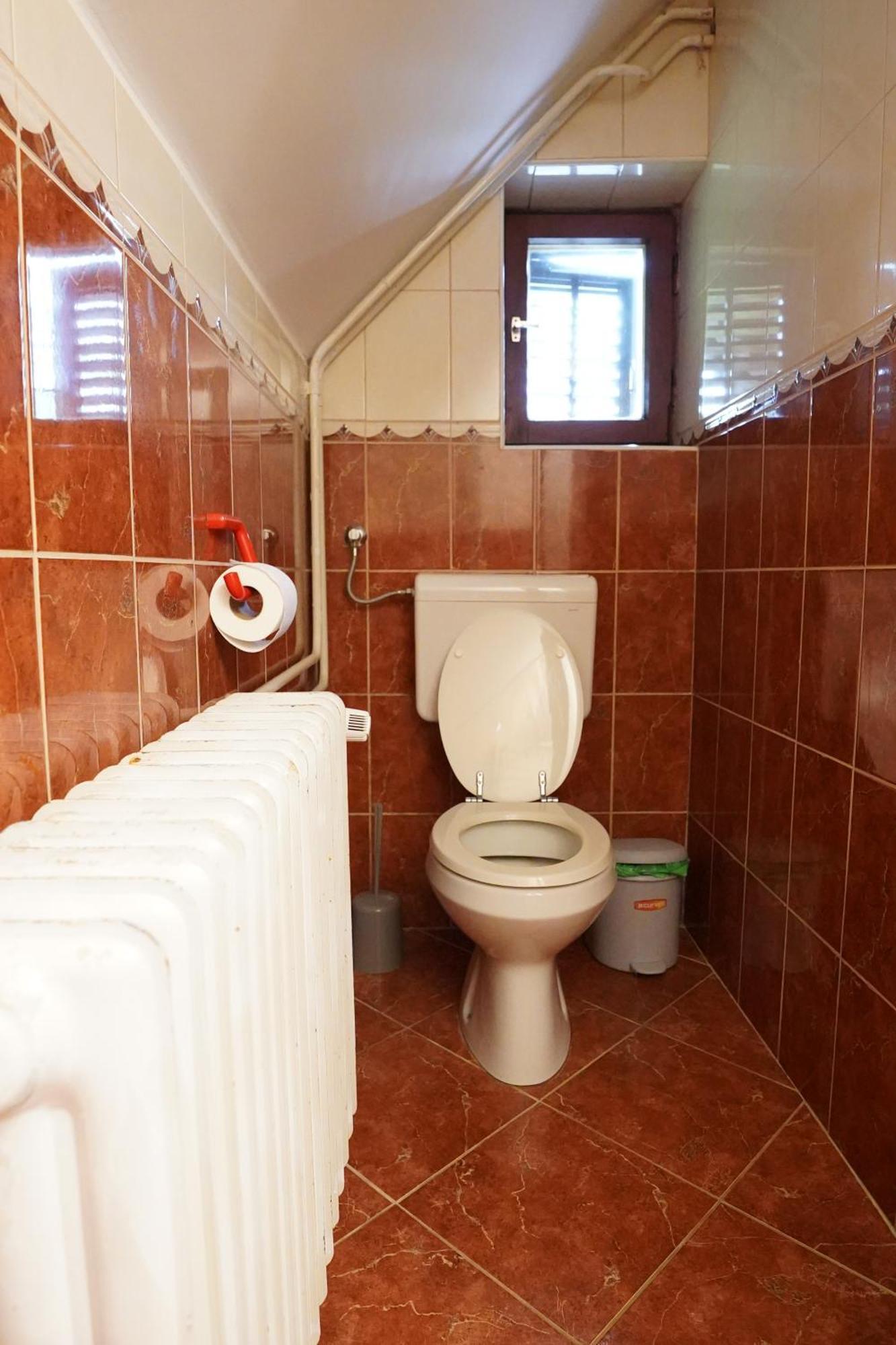 Sobe In Apartmaji Pri Ukcu בוהין מראה חיצוני תמונה