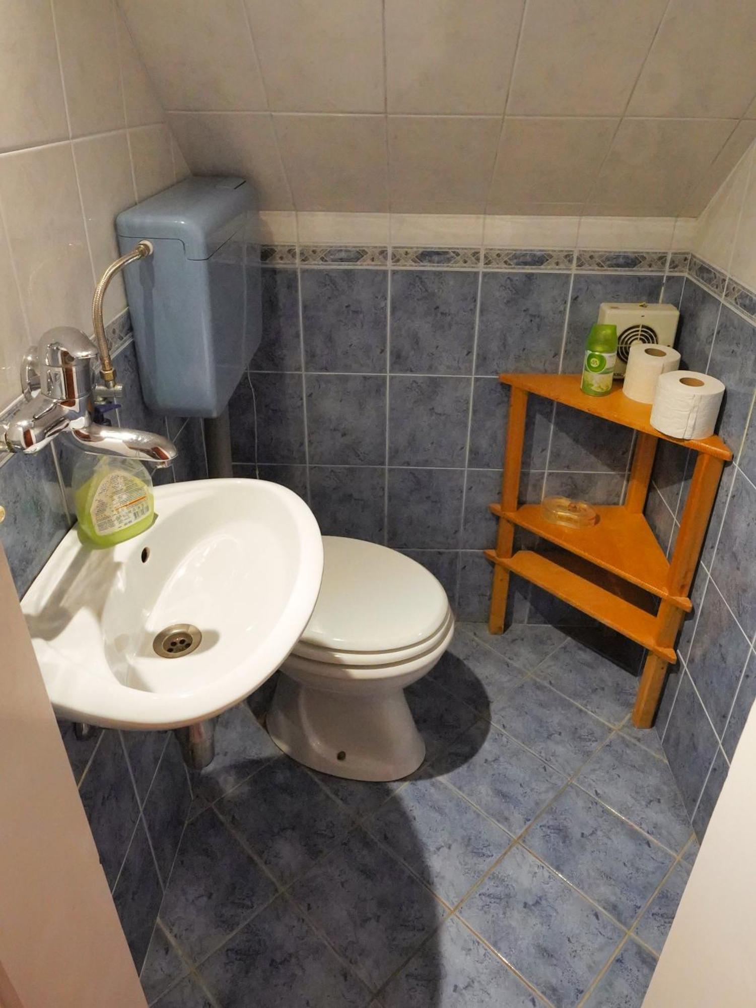 Sobe In Apartmaji Pri Ukcu בוהין מראה חיצוני תמונה
